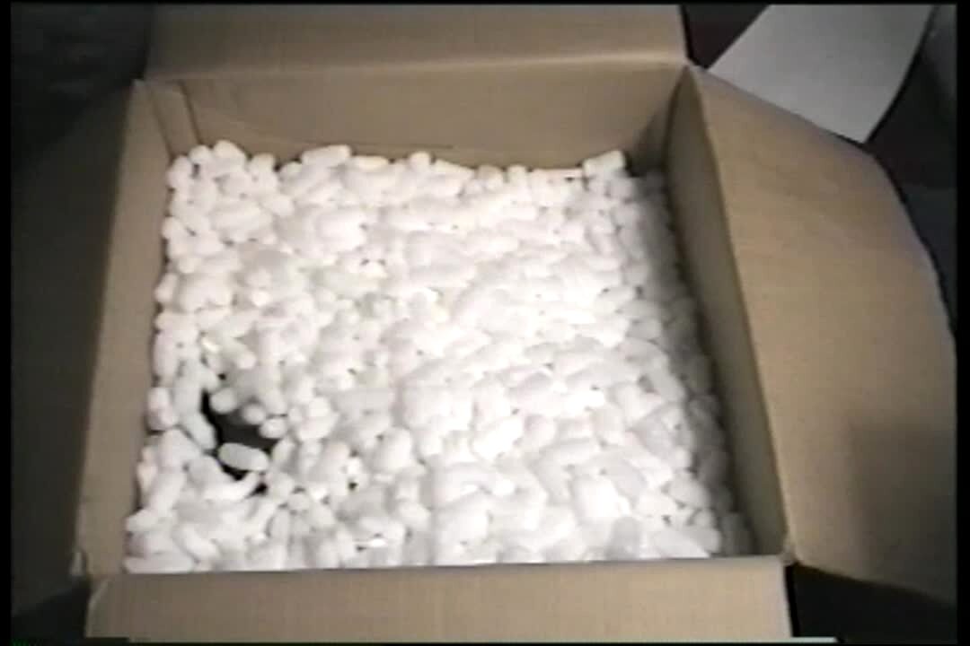 Video thumbnail showing: Ferret reveals itself in a box of styrofoam *no audio