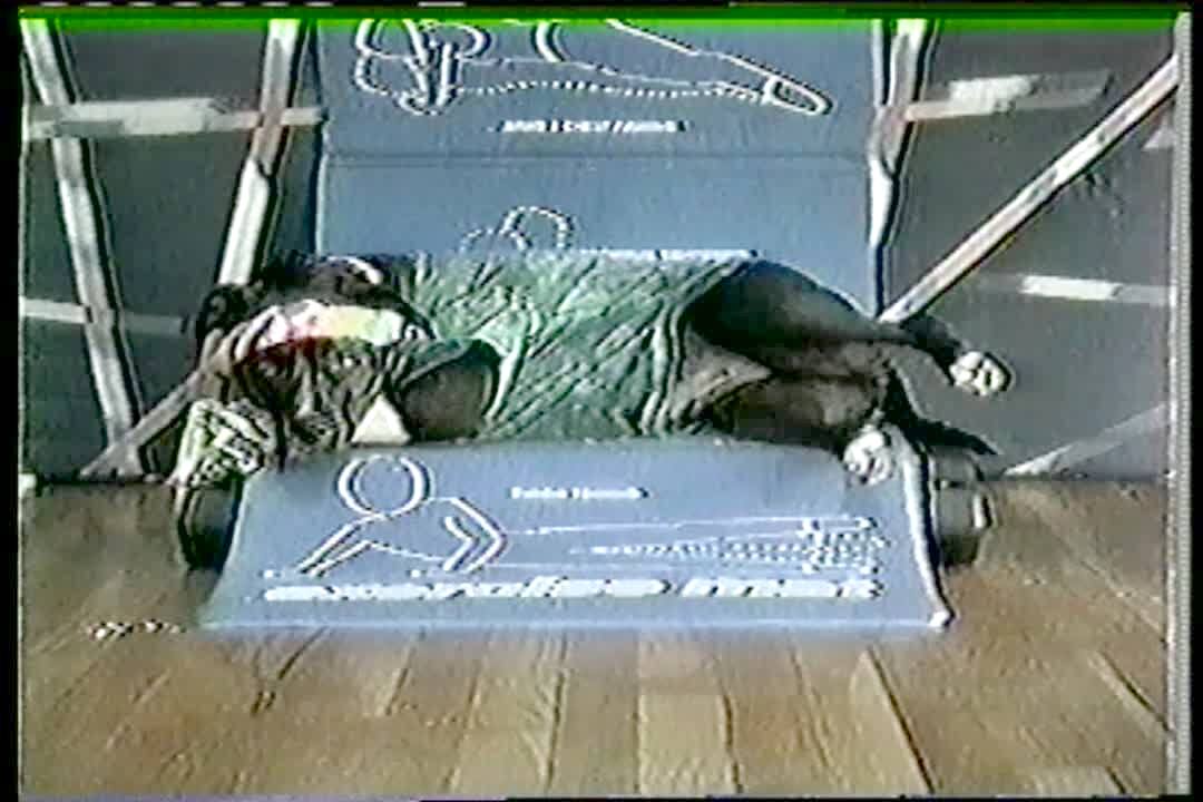 Video thumbnail showing: Dog with funny expression does leg lifts along with exercise video