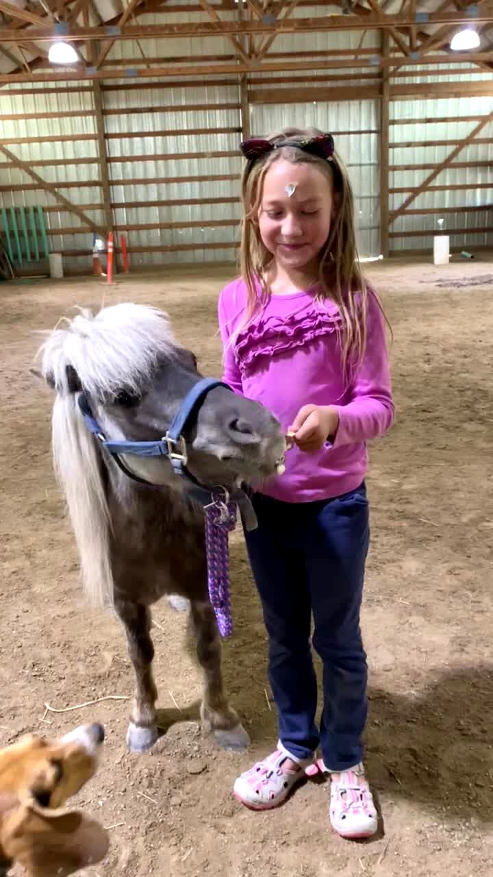 Video thumbnail showing: A young girl shares an ice cream bar with a pony and a dog in a barn.